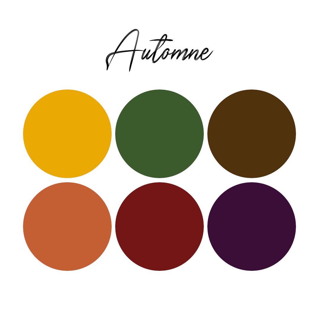 Quoi_porter_en_séance_tons_Automnetonssaisonierscopie