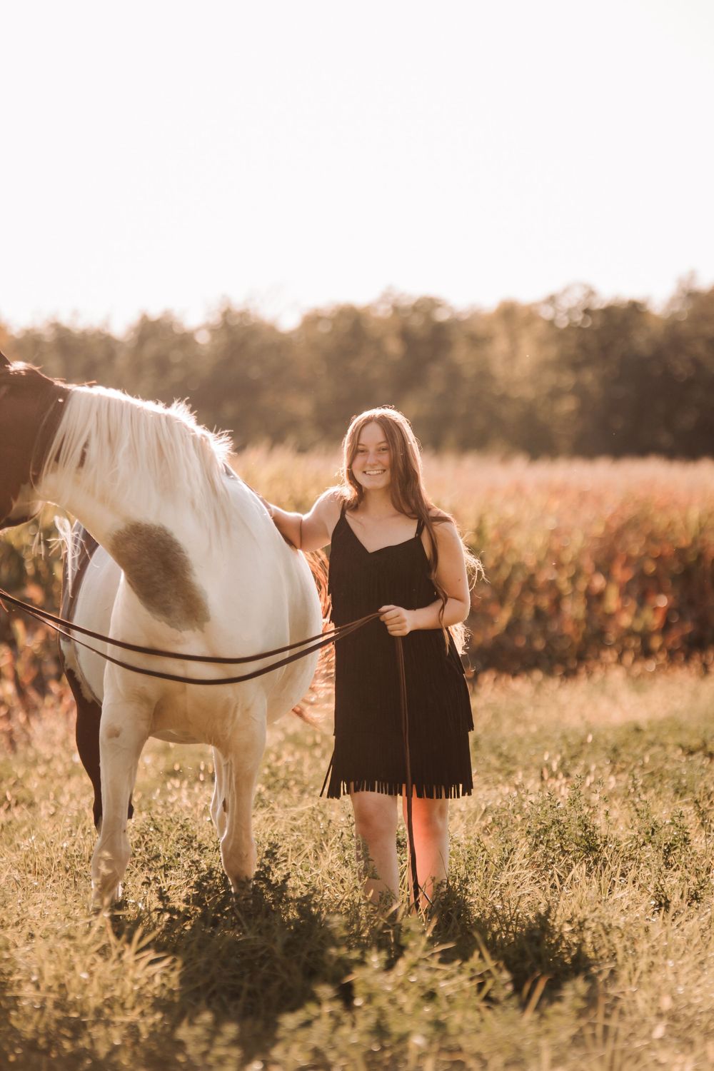 A beautiful white horse stands in a sunlit field with warm golden lighting.