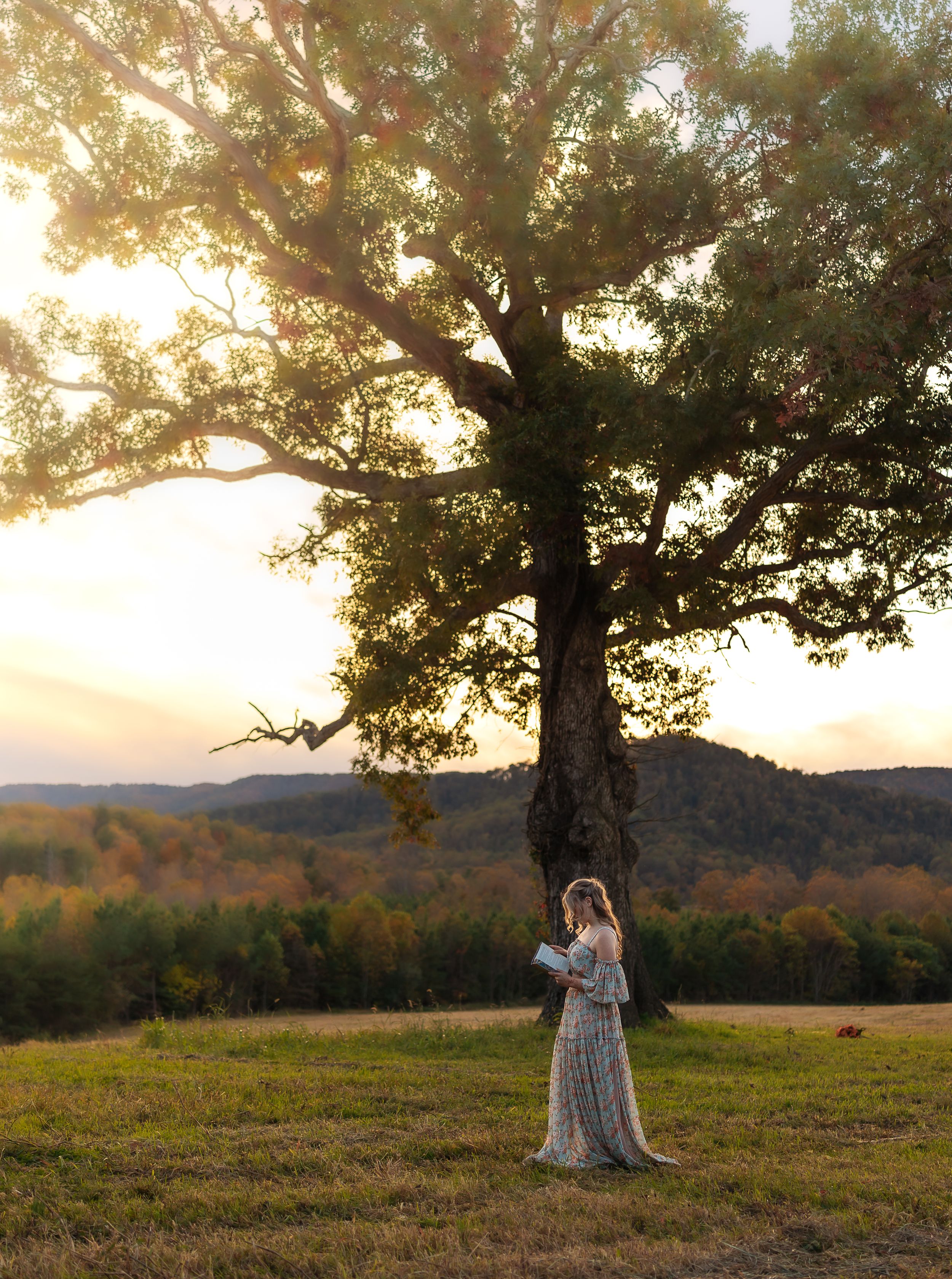 A golden sunset illuminates a tree swing scene in a peaceful meadow with rolling hills in the background.