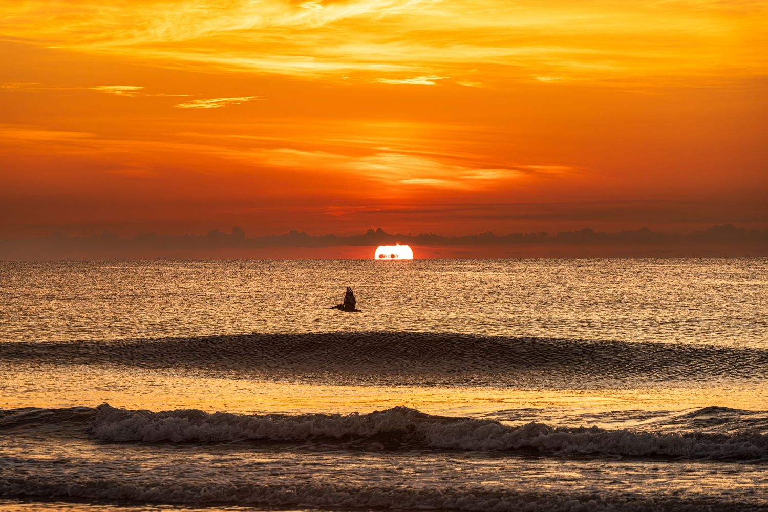 A silhouetted of a Pelican flying across the ocean during a vibrant orange sunrise with waves rolling in the foreground.