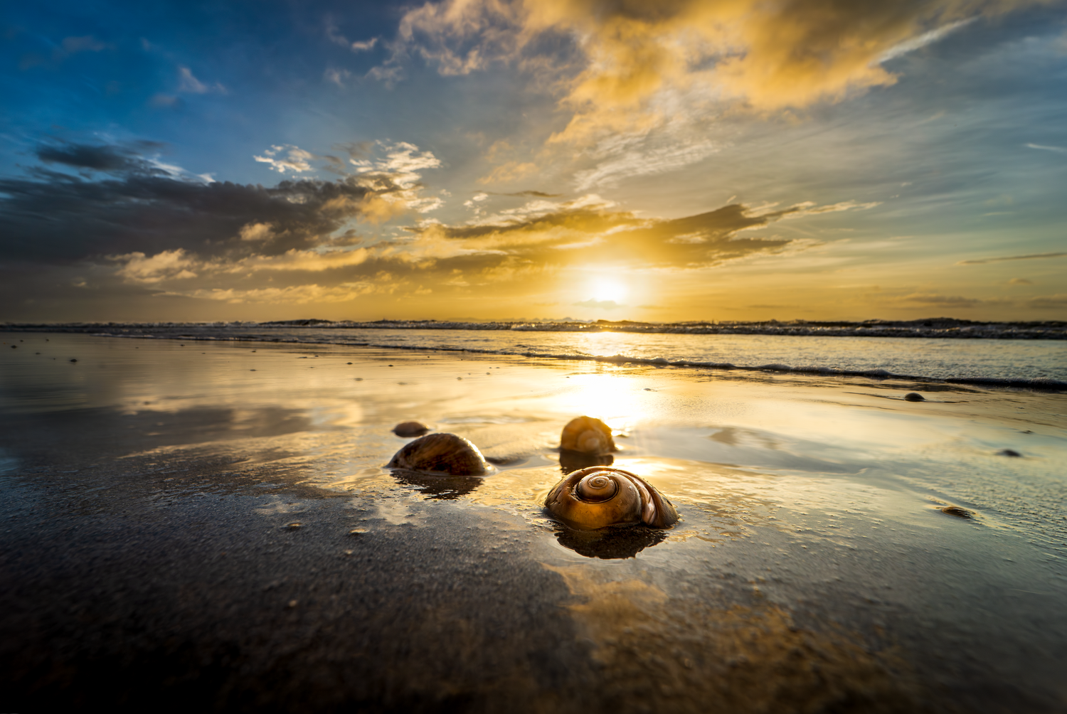 August 6, 2024 Cocoa Beach FL vibrant sunrise over reflective shore with shells scattered across the shoreline.