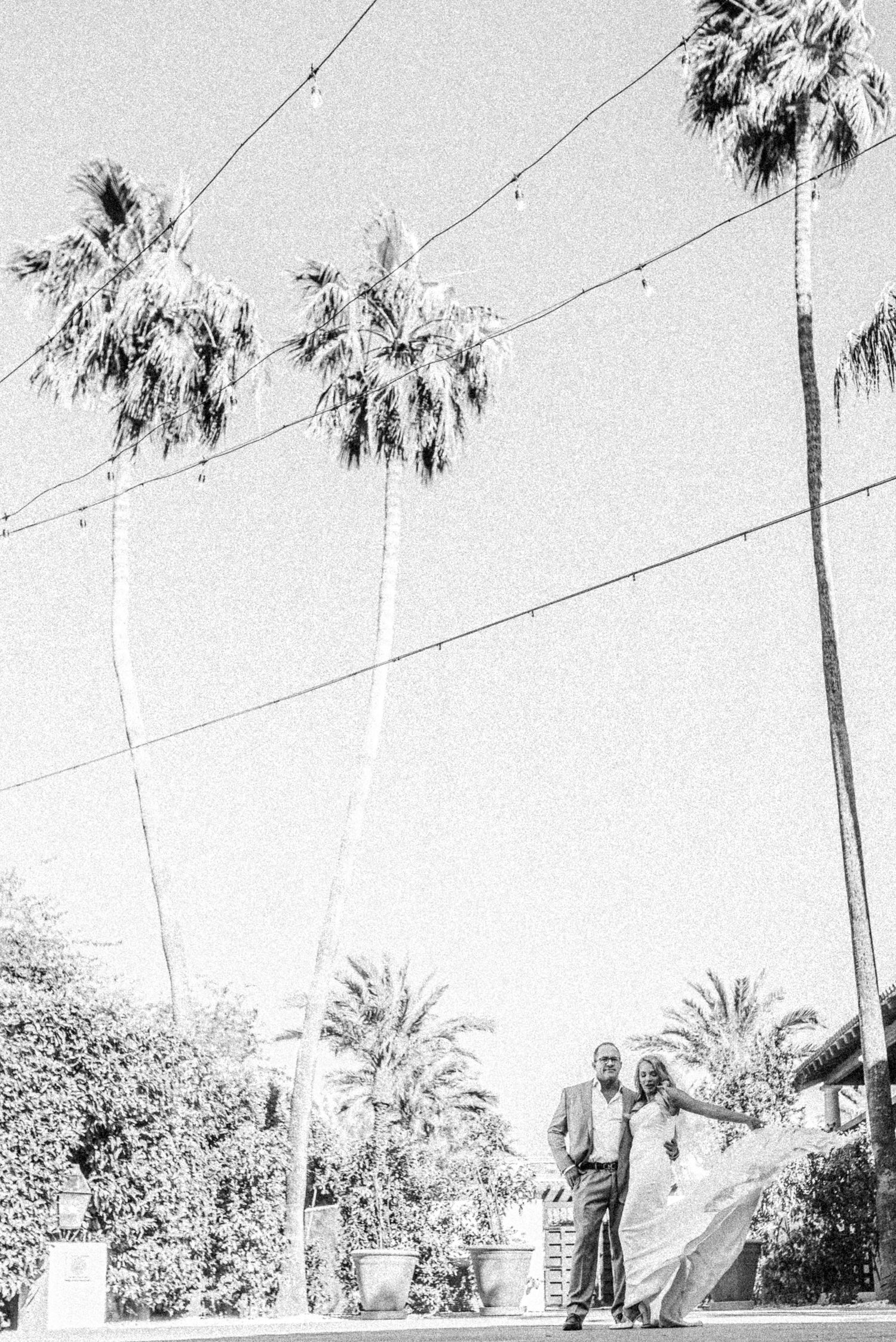 Black and white scene with palm trees and string lights overhead, showing people standing on a path below.