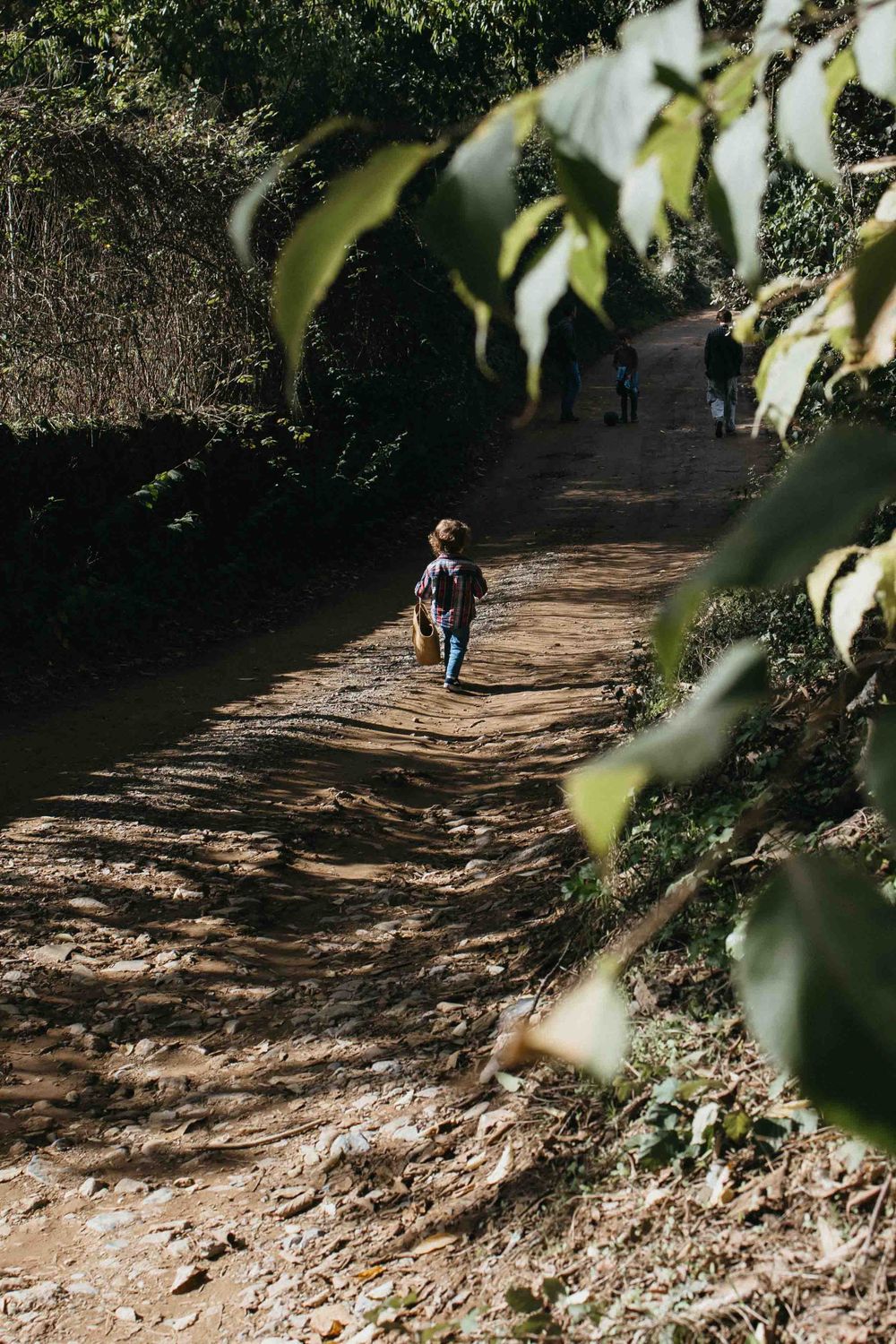 A dirt path leads through a shaded forest with overhanging tree branches and dappled sunlight.