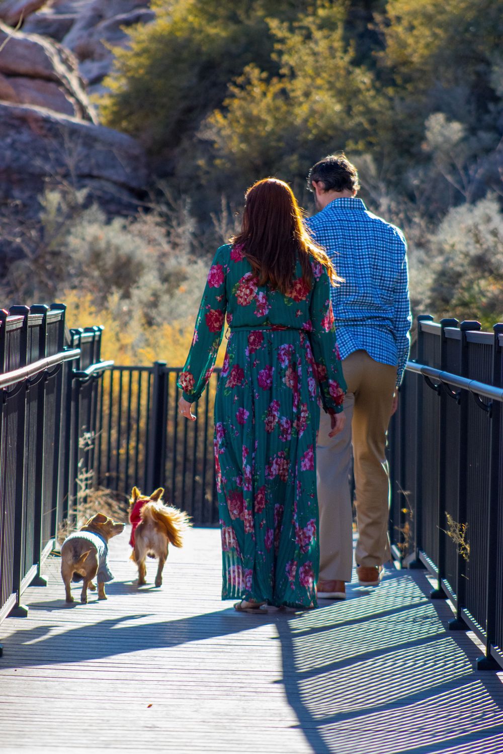 Couple walking two small dogs on a wooden bridge surrounded by desert landscape.