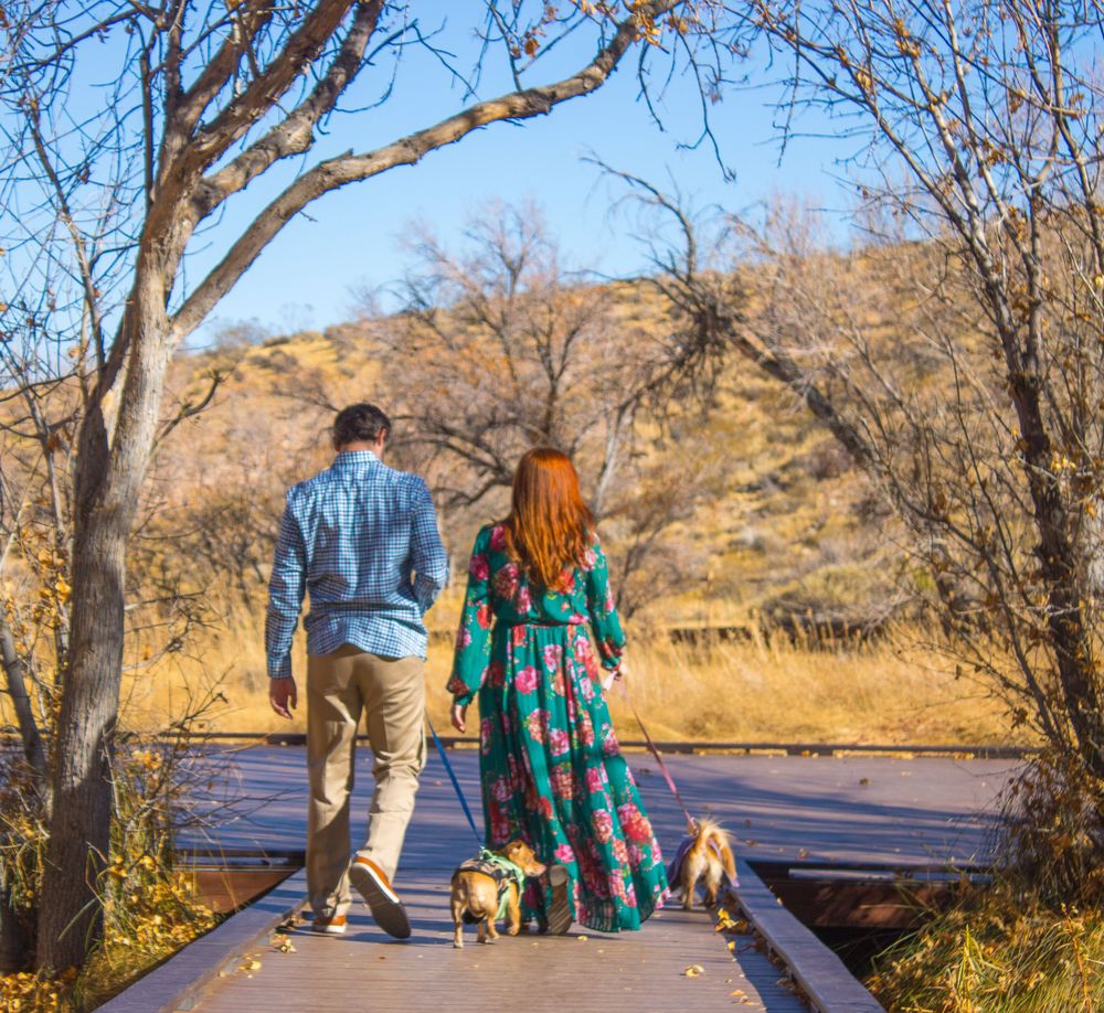 Couple walking two small dogs on wooden bridge path surrounded by autumn trees and hills.