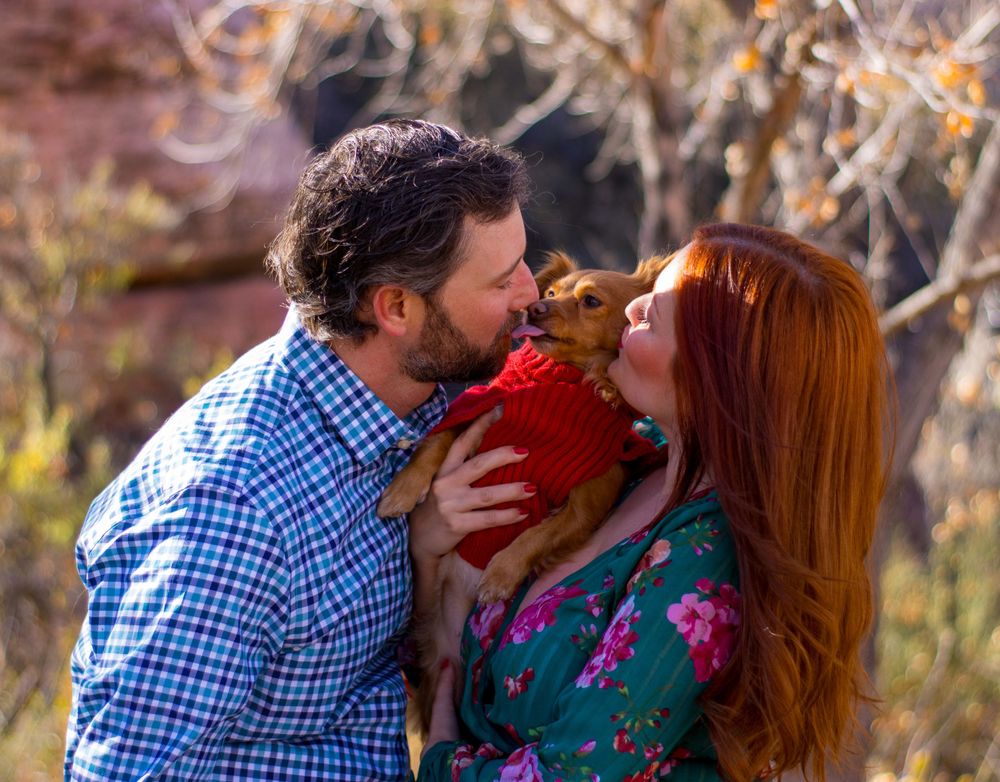 Couple sharing a kiss over small dog in red sweater during outdoor engagement photo session.