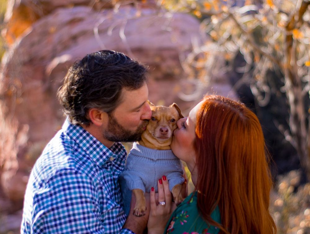 Couple sharing a kiss over a small dog in a grey sweater outdoors.