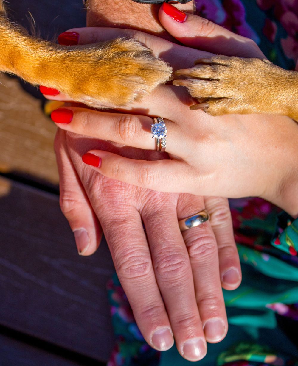 Close-up of engagement ring on woman's hand with dog paw resting on top.