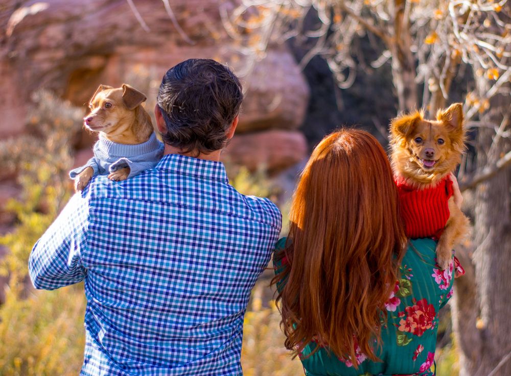 Couple with backs turned holding two small dogs in colorful sweaters in desert.