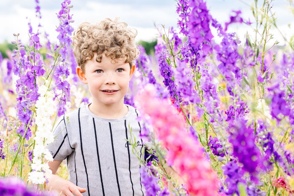 Vibrant pink and purple delphinium flowers bloom in a summer garden where someone in a striped shirt stands among them.