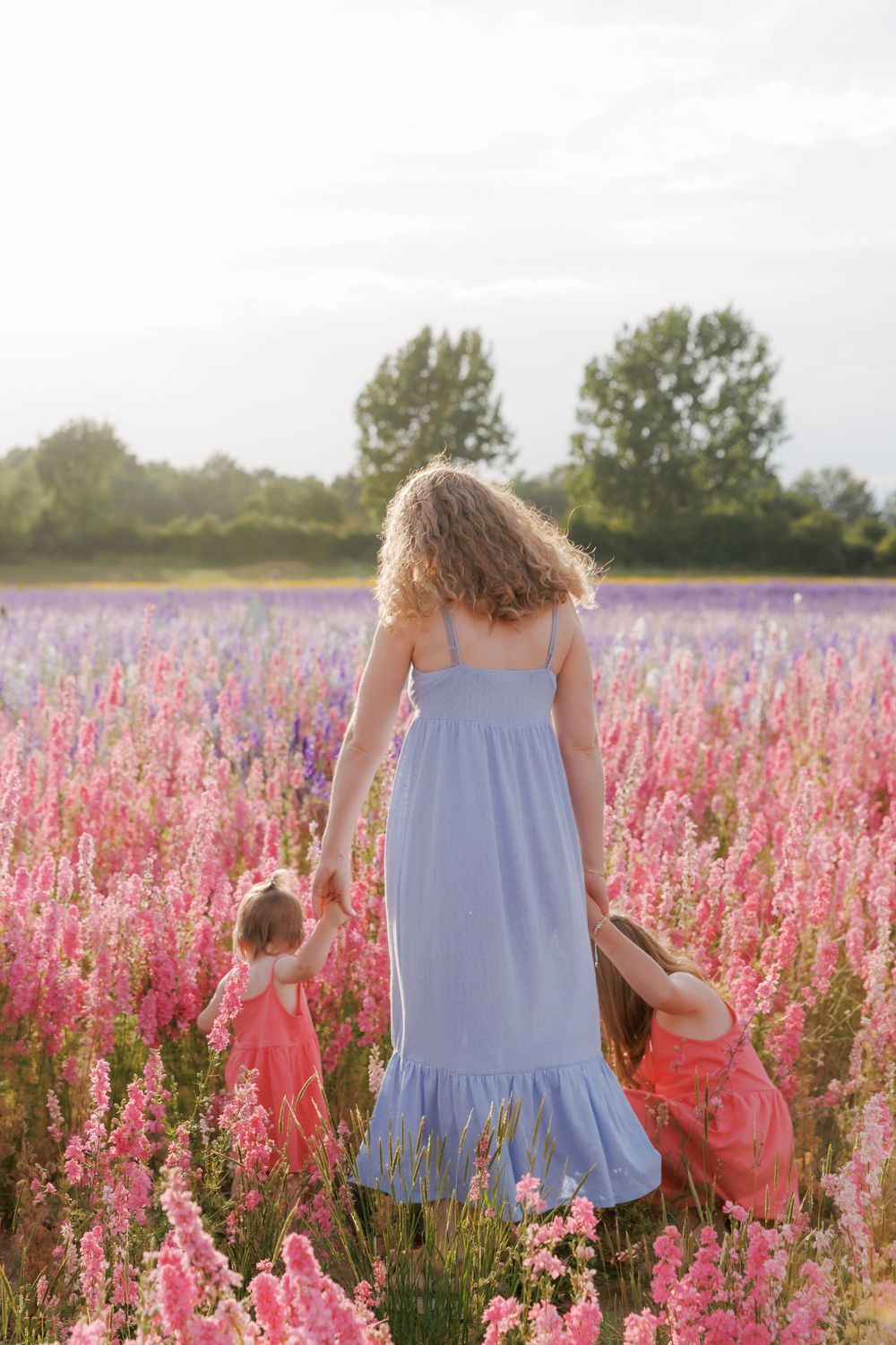 Figures in blue and coral colored dresses walk through a meadow filled with vibrant pink wildflowers.