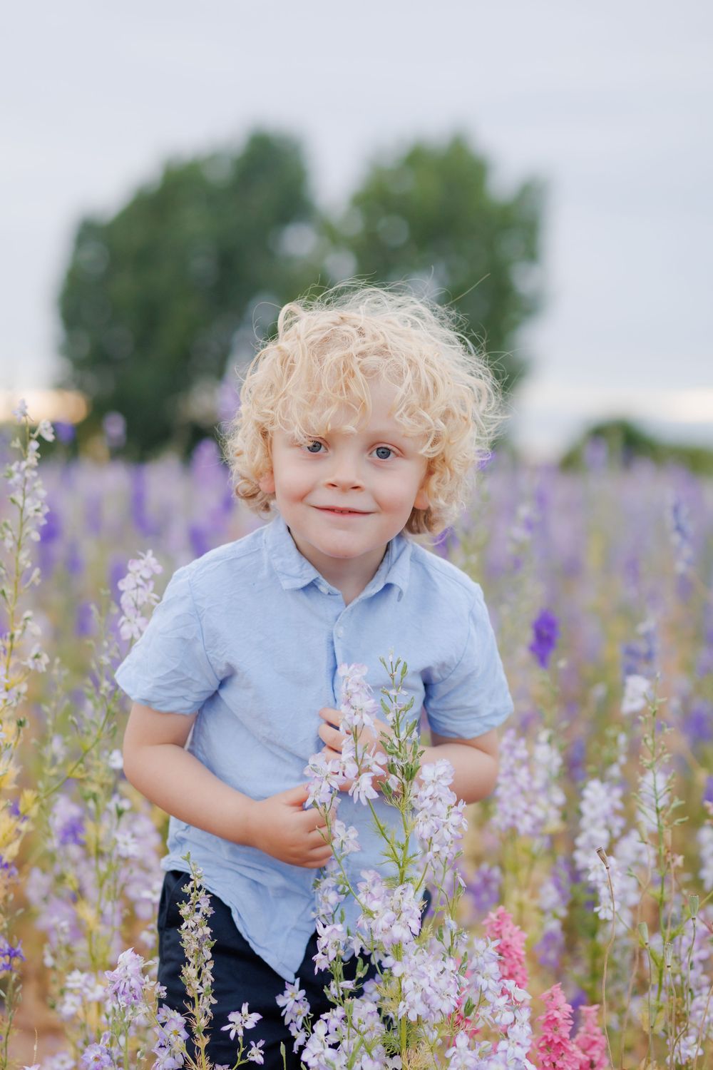 A small child with curly blonde hair stands amidst blooming purple and pink wildflowers in a summer field.