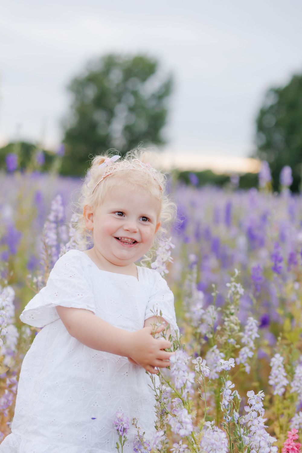 A child in a white lacy dress plays among blooming purple delphiniums in a summer garden.