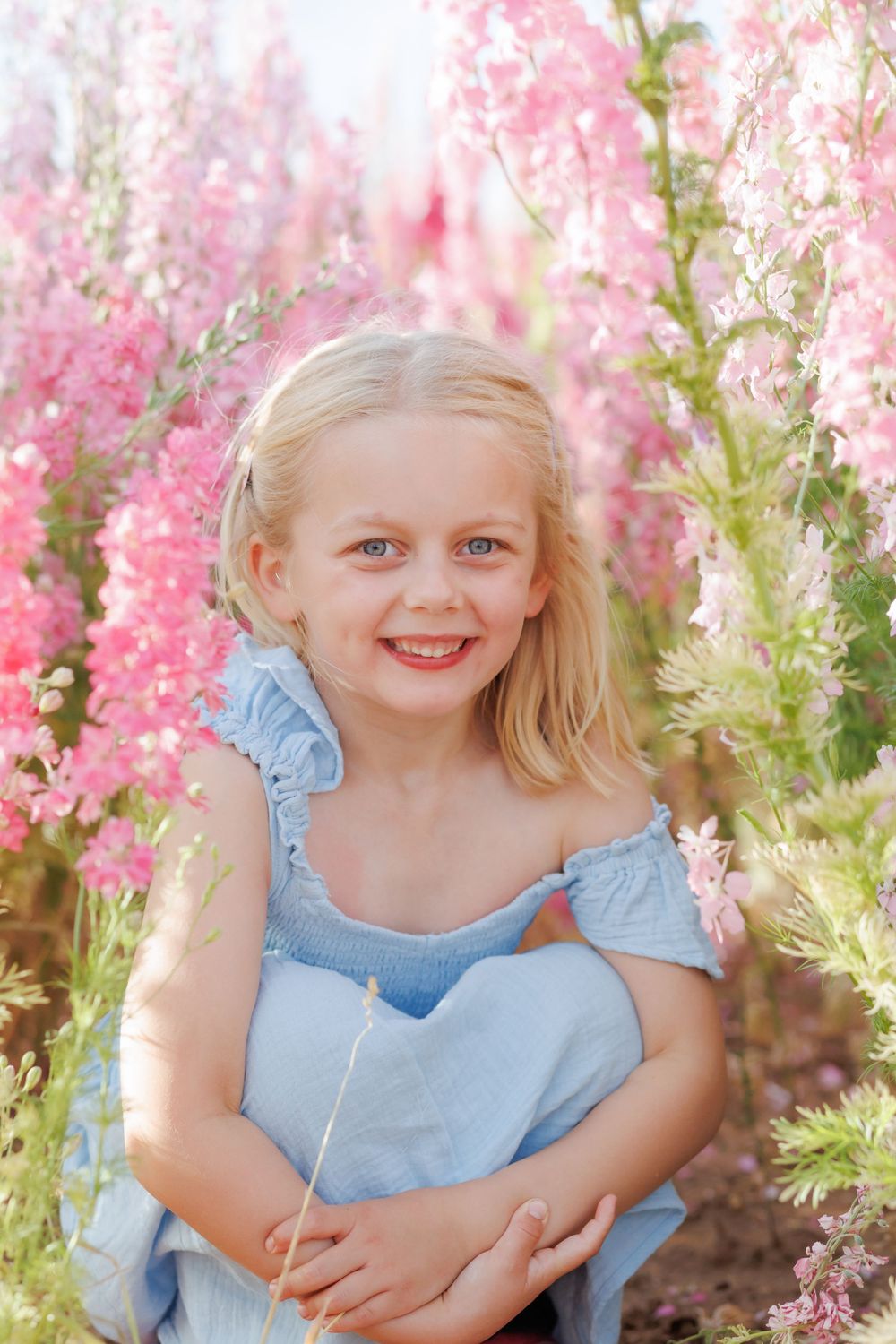 A series of four similar photos showing a child in a blue dress sitting among pink flowering plants in a garden setting.