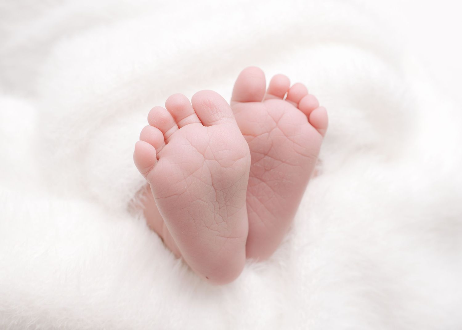 A close-up view of tiny baby feet with pink, delicate toes against a white background.