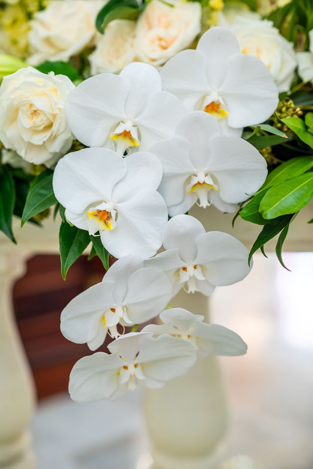 Elegant white orchids and roses arranged in a cascading bridal bouquet display.
