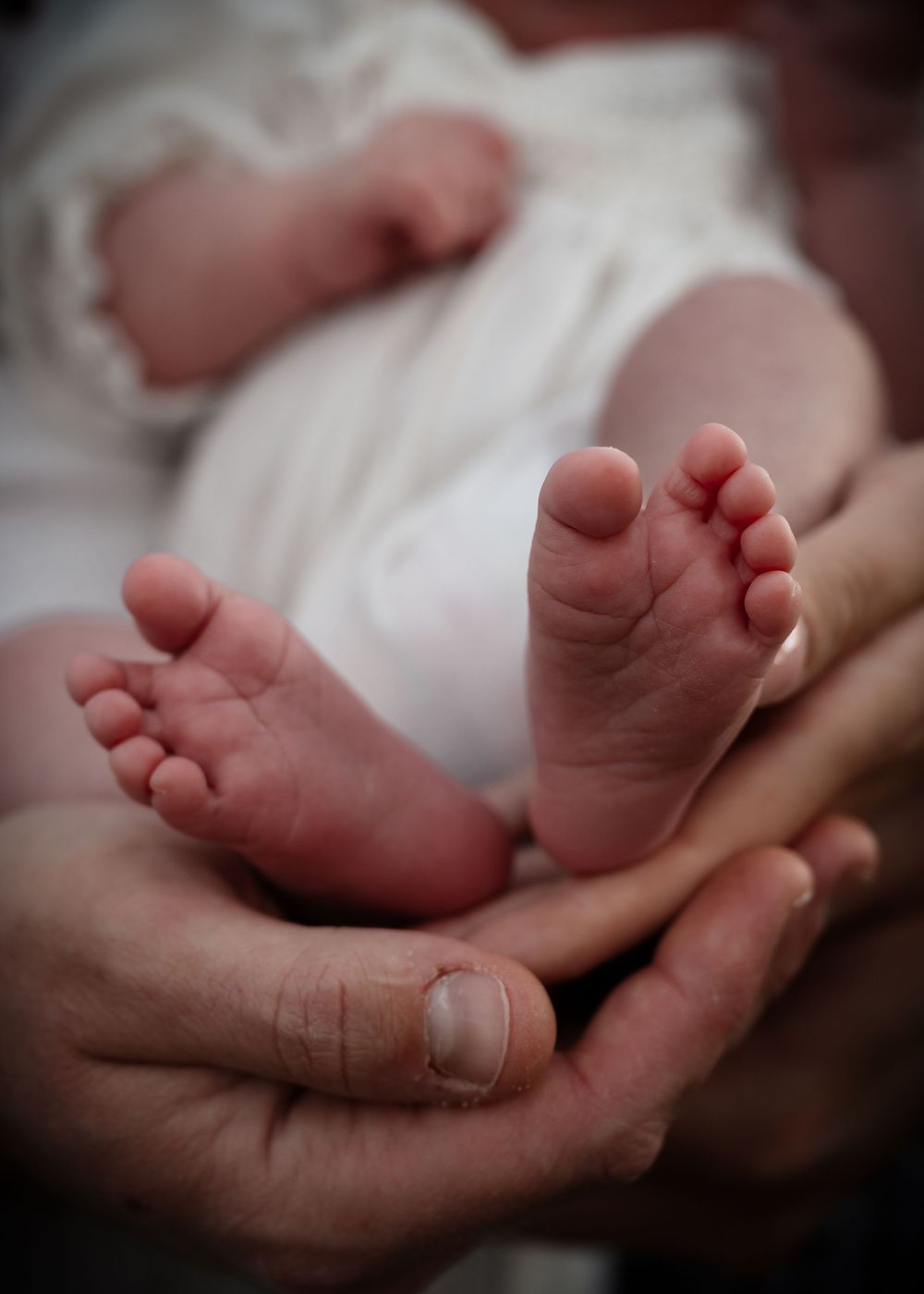 Tiny newborn baby feet resting gently in an adult's caring hands against soft white fabric.