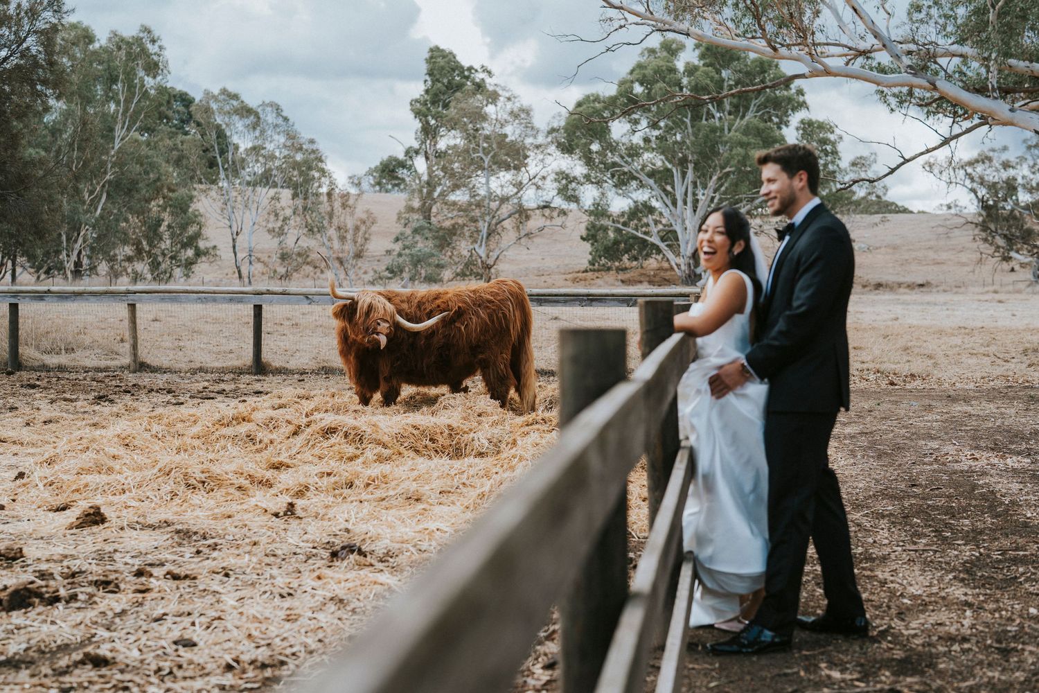 victoria wedding photographer