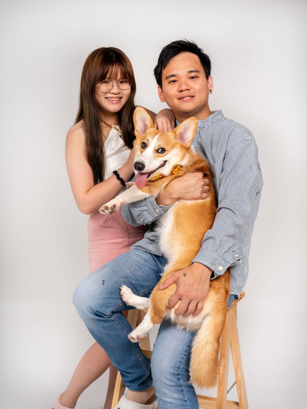 A couple sitting together on a chair holding their happy Corgi dog against a light gray studio background.