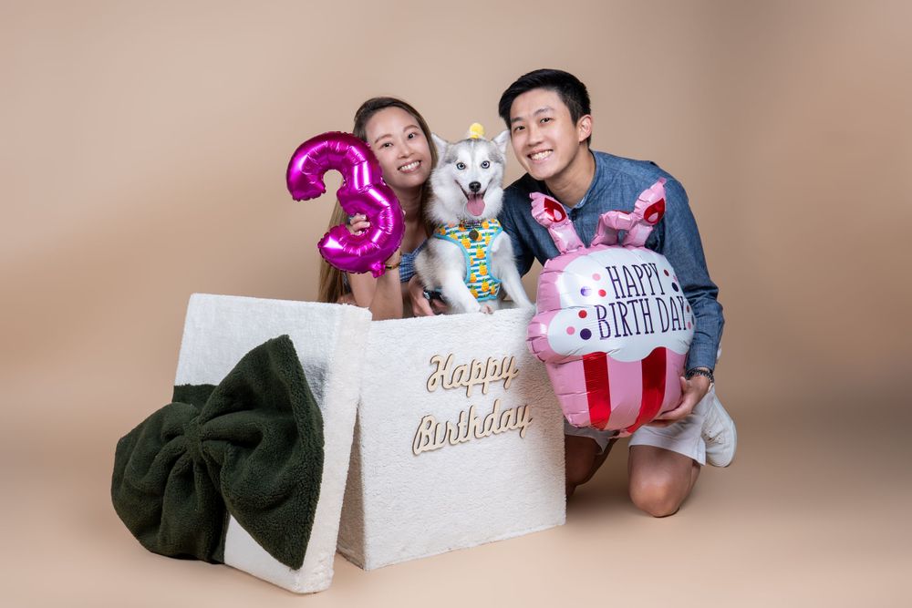 Birthday celebration scene with a dog, pink balloon number 2, and decorative elements against beige backdrop.