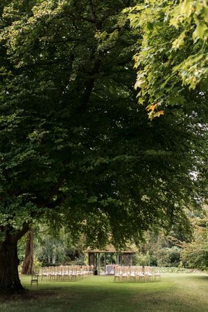 Rows of chairs set up for an outdoor wedding ceremony under large shady trees.