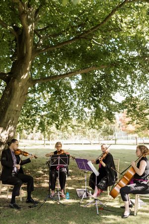 Musicians performing outdoors under shaded trees during a wedding ceremony.