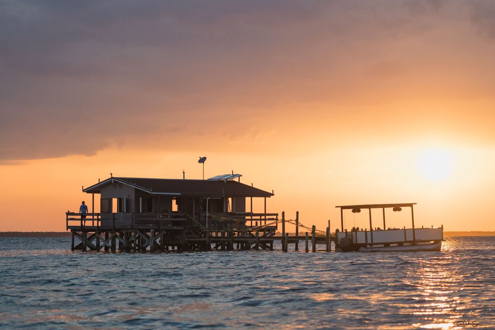 Sunset photographer near me, family friendly photographer, male photographer, natural light, best photos