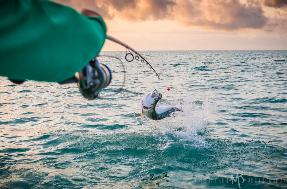 Fishing photographer for hire. Captain Photography. Gulf of Mexico fishing. sport fishing photography. for hire.