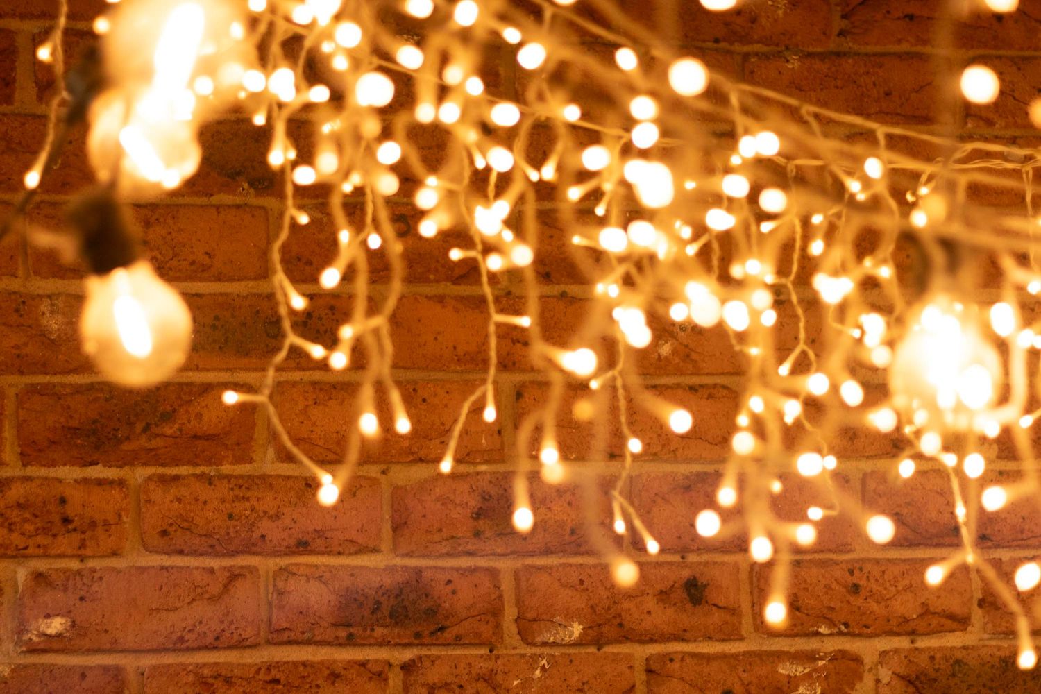 Glowing fairy lights hanging against rustic brick wall creating warm ambiance.