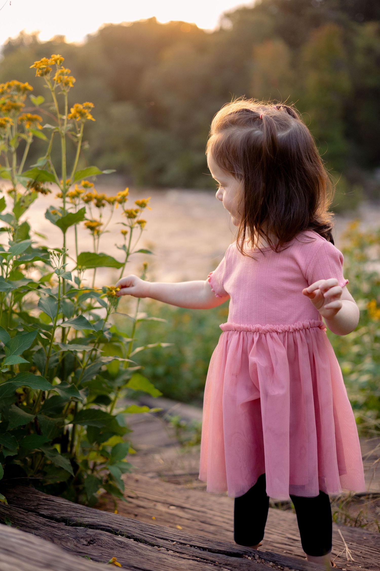 A toddler Girl plays with yellow flowers while standing on wood steps with a river in the background.