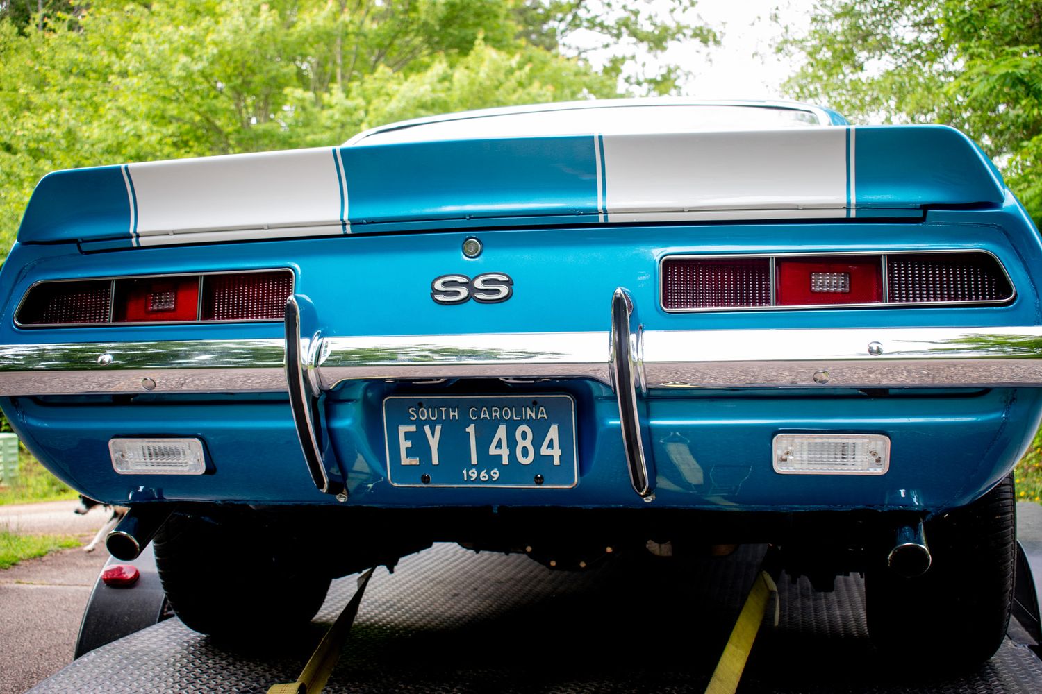 Rear view of a classic blue Chevrolet Camaro SS with license plate visible.