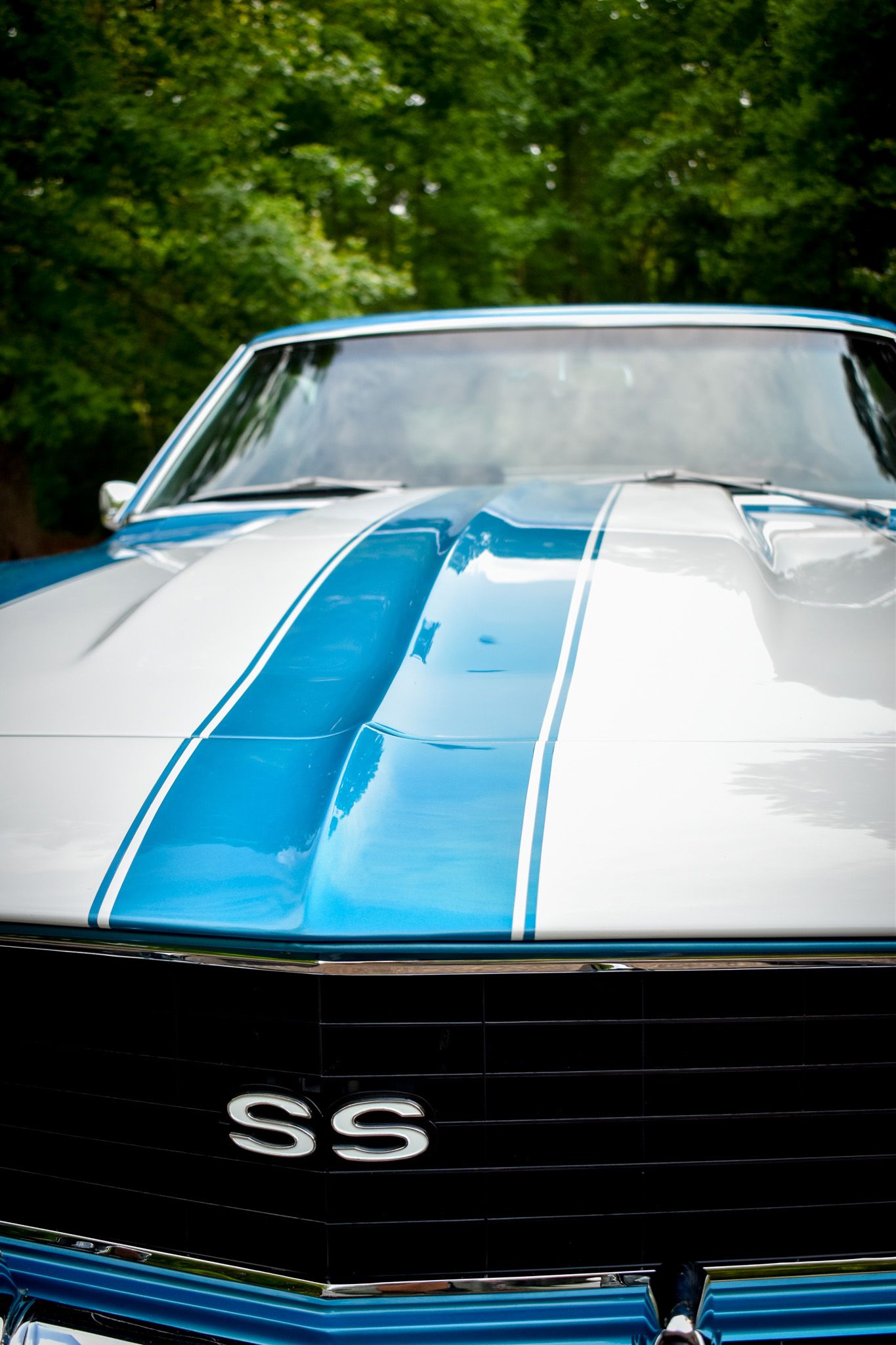 Hood detail of blue and white striped Chevrolet Camaro SS showing distinctive paint scheme.
