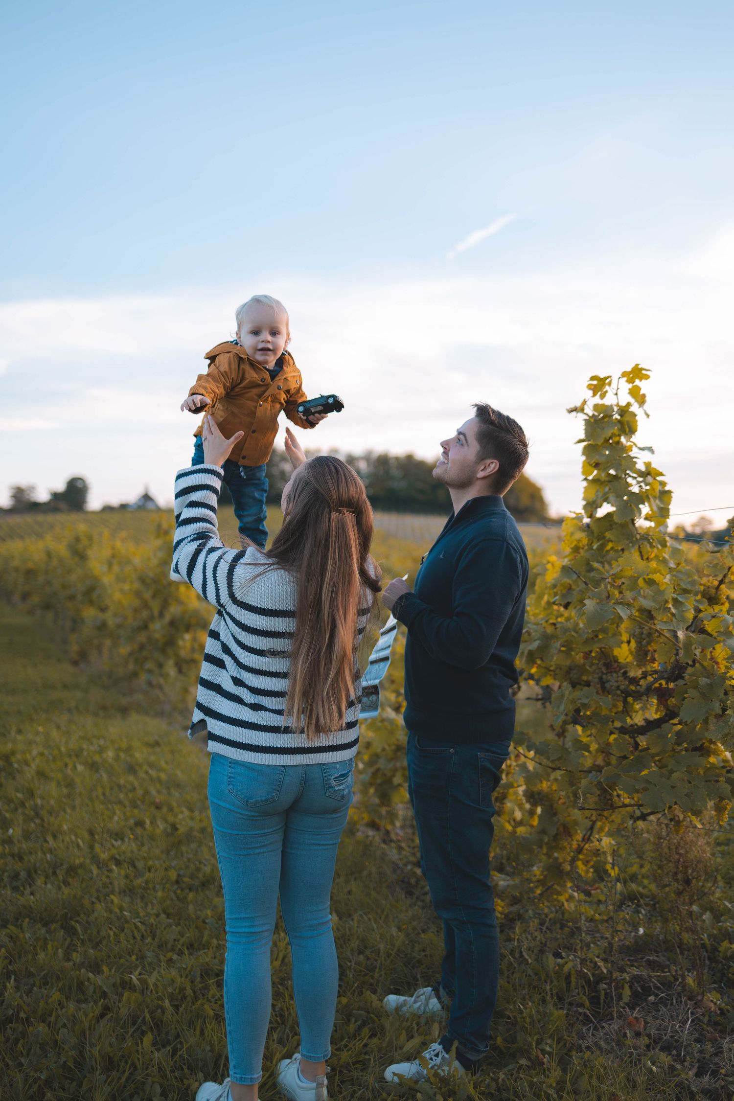 Family plays together in golden evening light among vineyard rows.