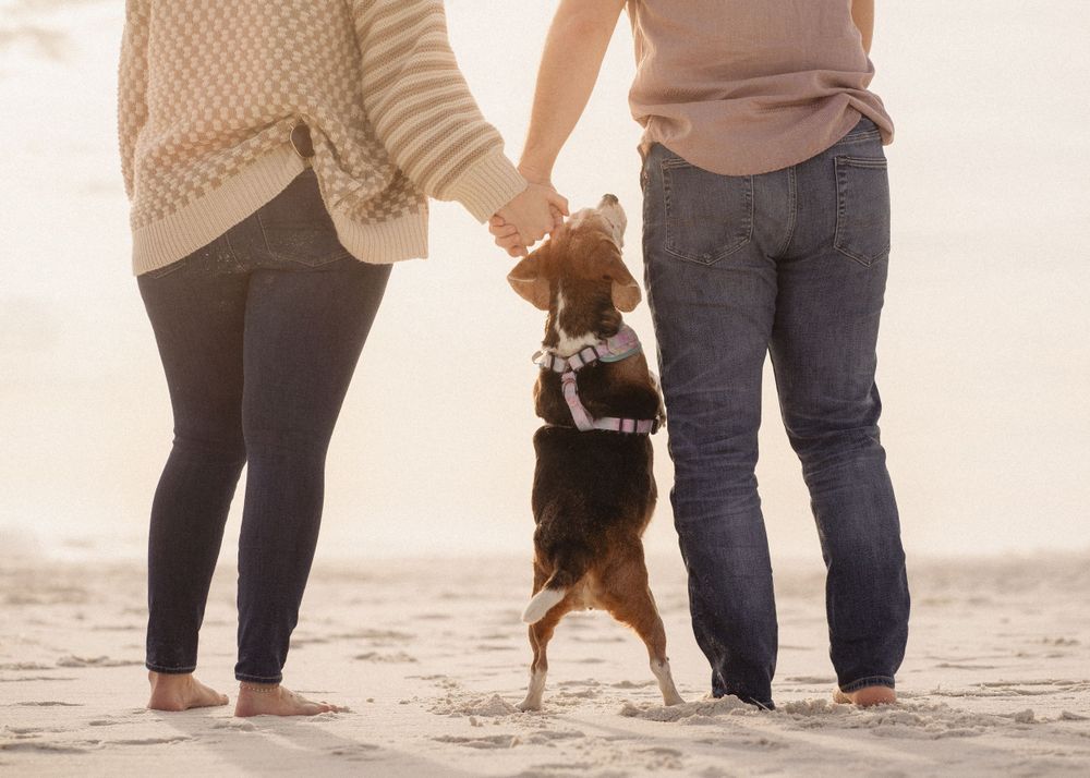 Dog end of life couple photoshoot at Pensacola Beach