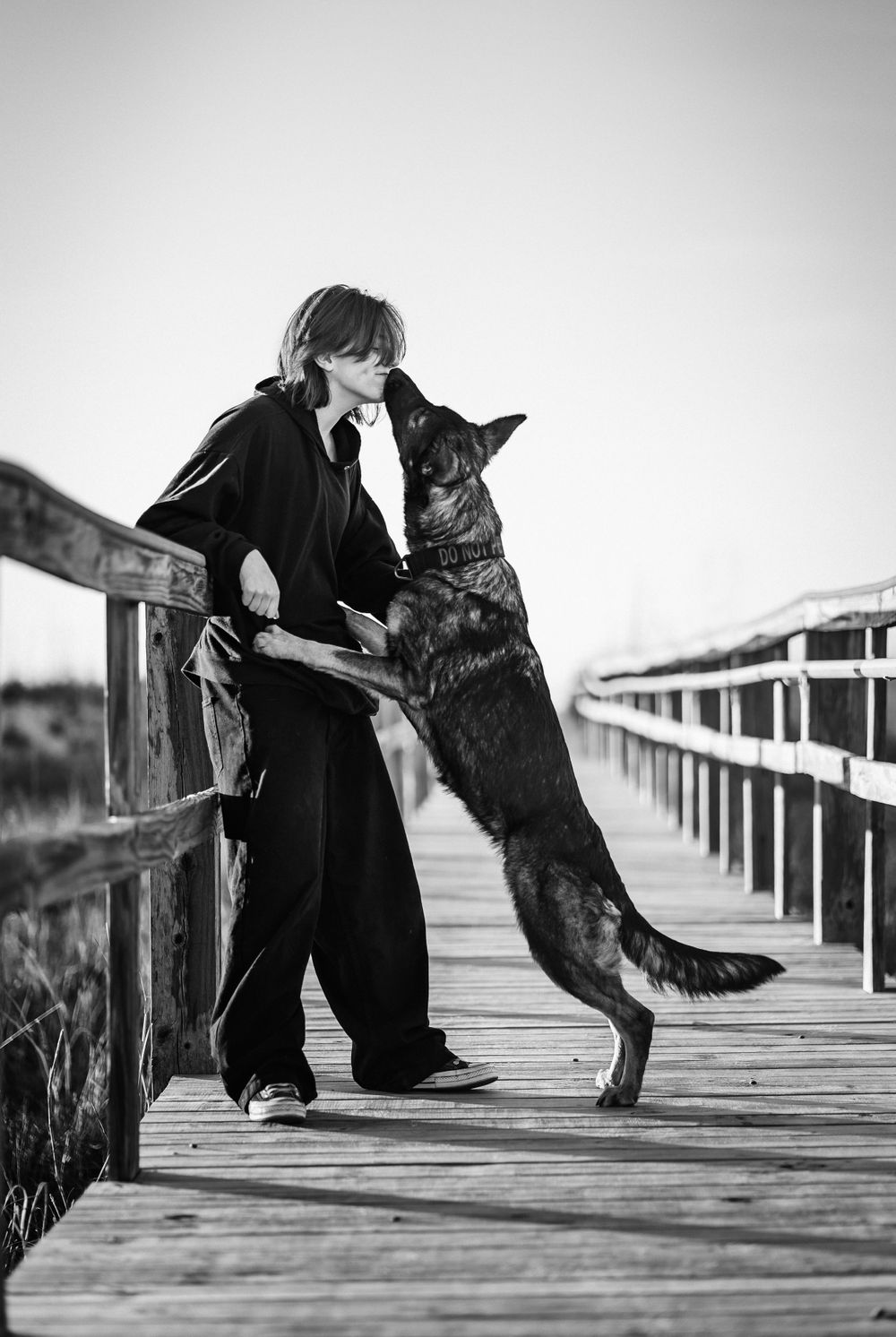 Fine art Pensacola dog photoshoot