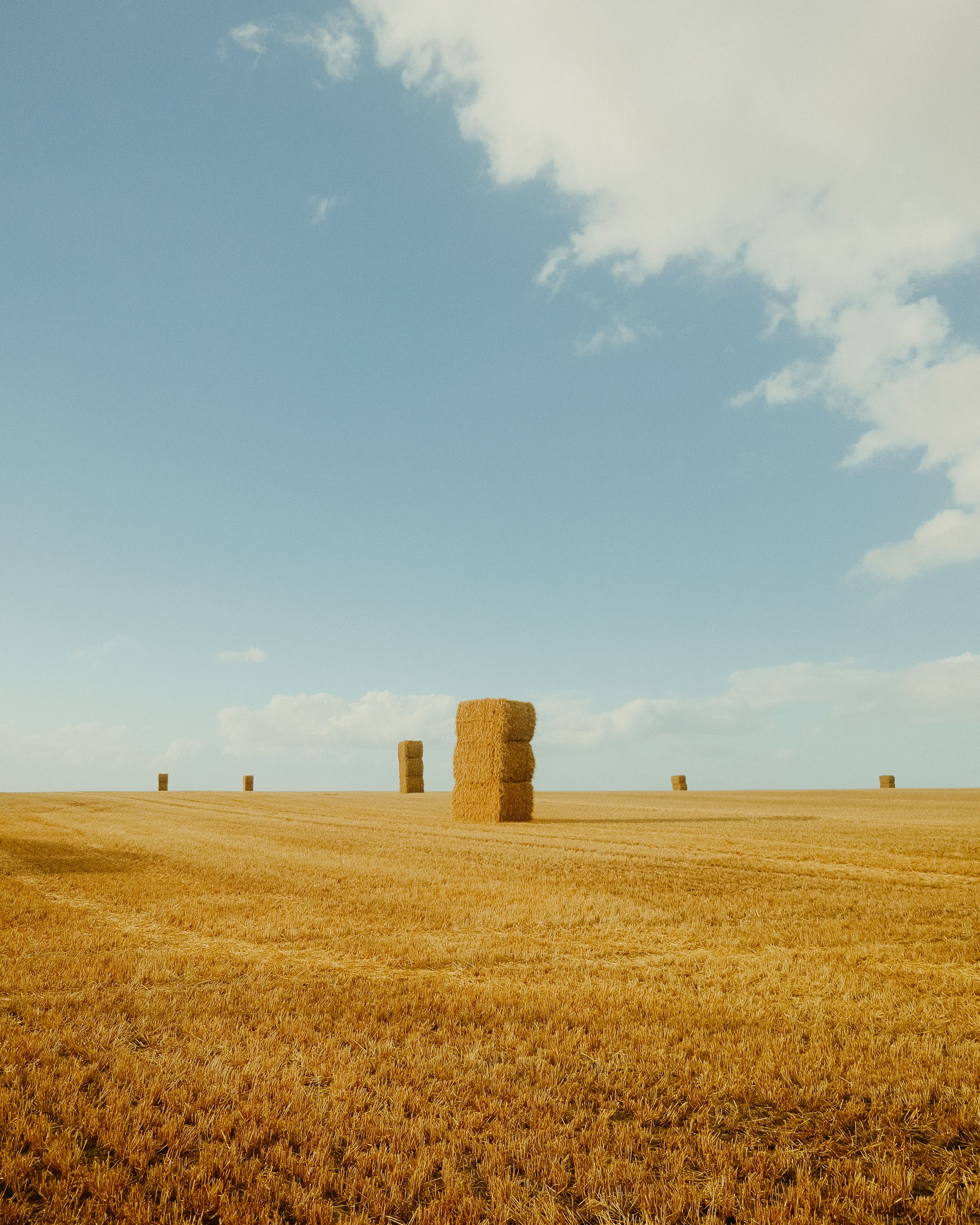 Golden wheat field stretches to horizon with scattered round hay bales under blue summer sky.