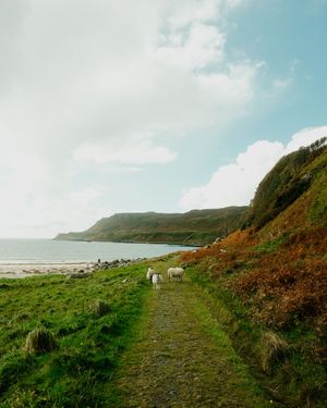 A scenic coastal path winds along green cliffs and rolling hills with dramatic ocean views under cloudy skies.