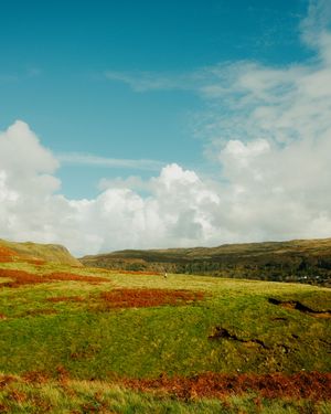 Rolling green hills and rusty red heather under a bright turquoise sky with fluffy white clouds in the Scottish countryside.