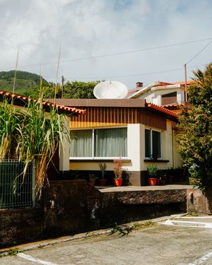 Modern single-story house with white walls and red tile roof features a spacious driveway and tropical landscaping.