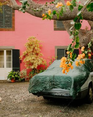 A green tarp covered car parked against a pink wall with flowering plants and trees in the courtyard.