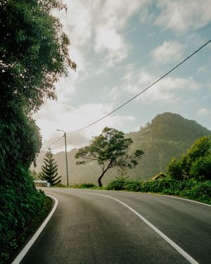 A winding mountain road curves through misty tropical scenery with power lines and lush vegetation along the roadside.