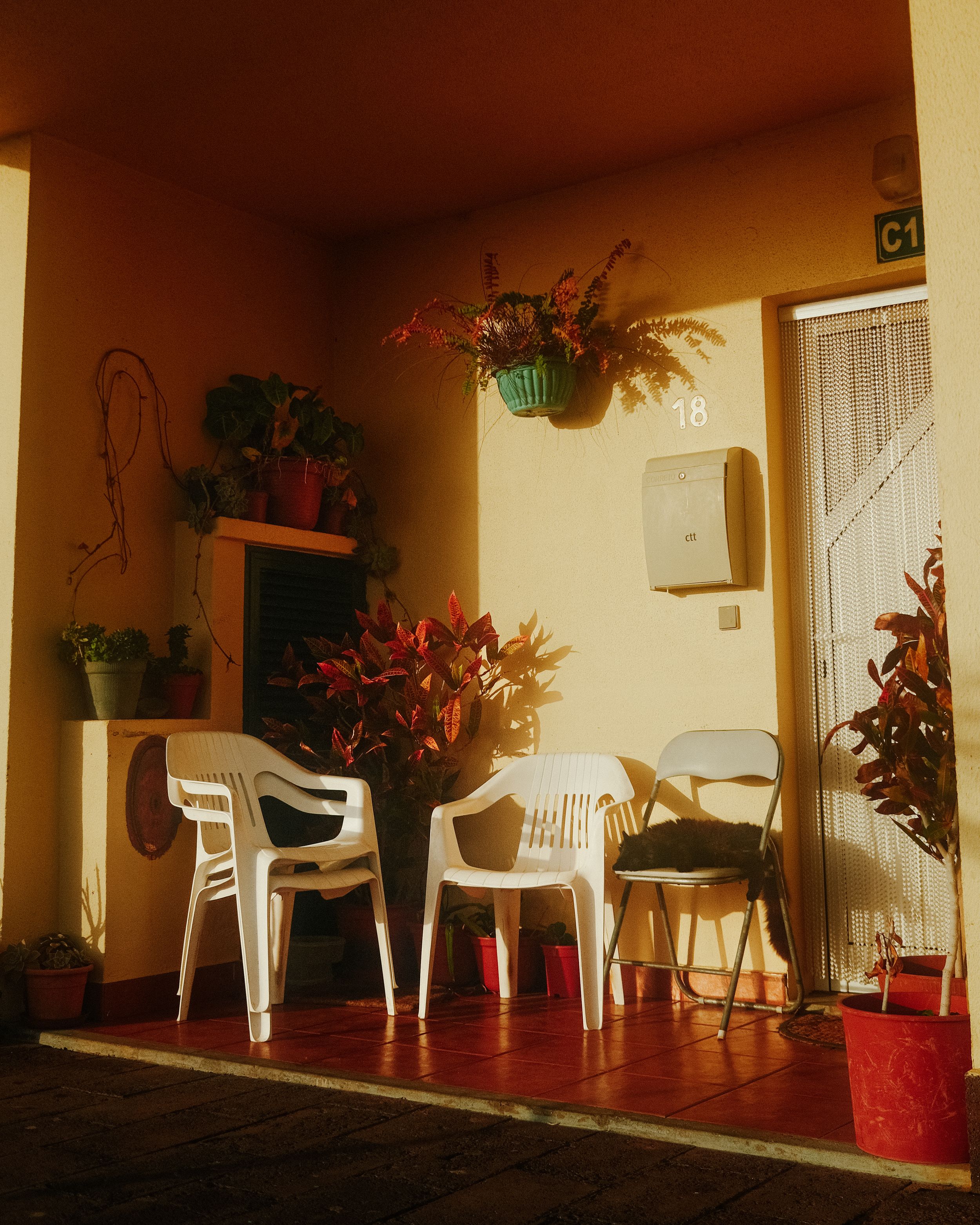 A row of white plastic chairs lines a beige wall with red decorative plants in pots along a covered porch area.