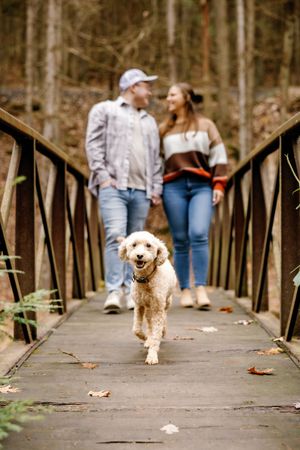 A happy dog runs across a wooden bridge in the forest while its owners follow behind.