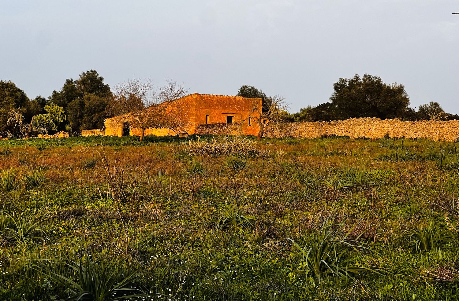 A panoramic view of orange brick buildings scattered across a grassy hillside landscape at sunset.