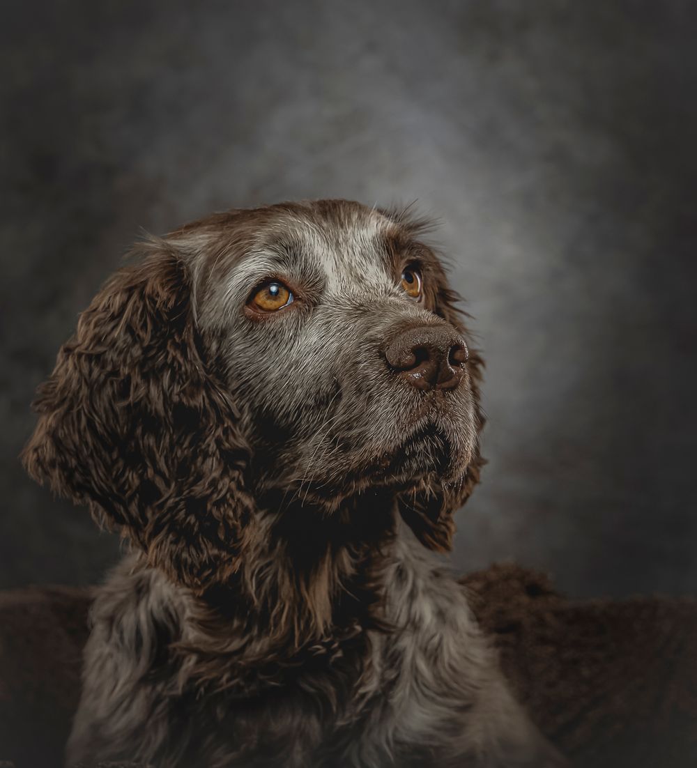 Steve Evans Filey photographer shooting studio portraits either in my small home studio, at your home or on a location of your choice.