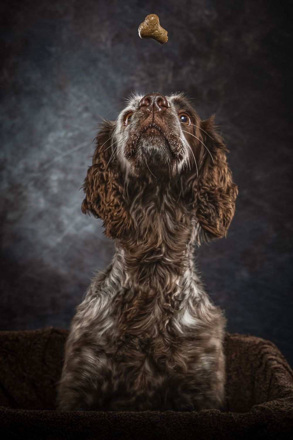 Steve Evans Filey photographer shooting studio portraits either in my small home studio, at your home or on a location of your choice.