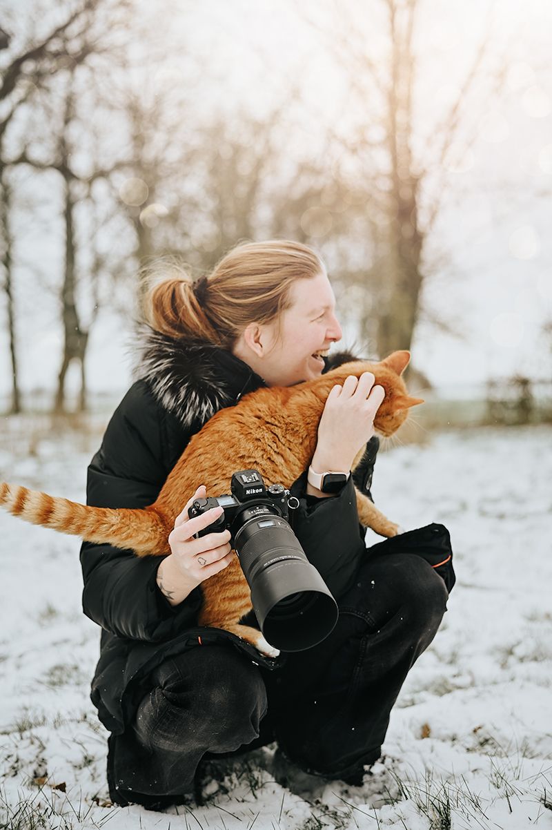 Person in black winter coat playing with an orange cat in snowy landscape.