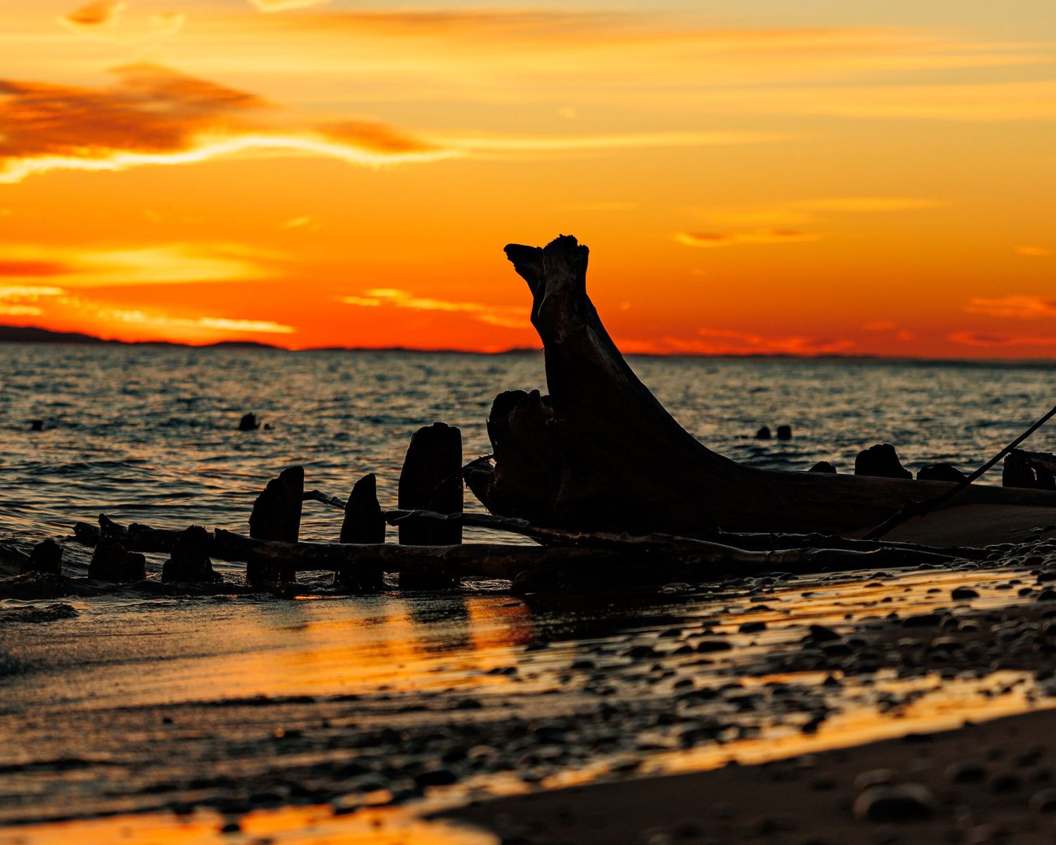 Driftwood and shipwreck remains along Whitefish Bay shoreline at sunset