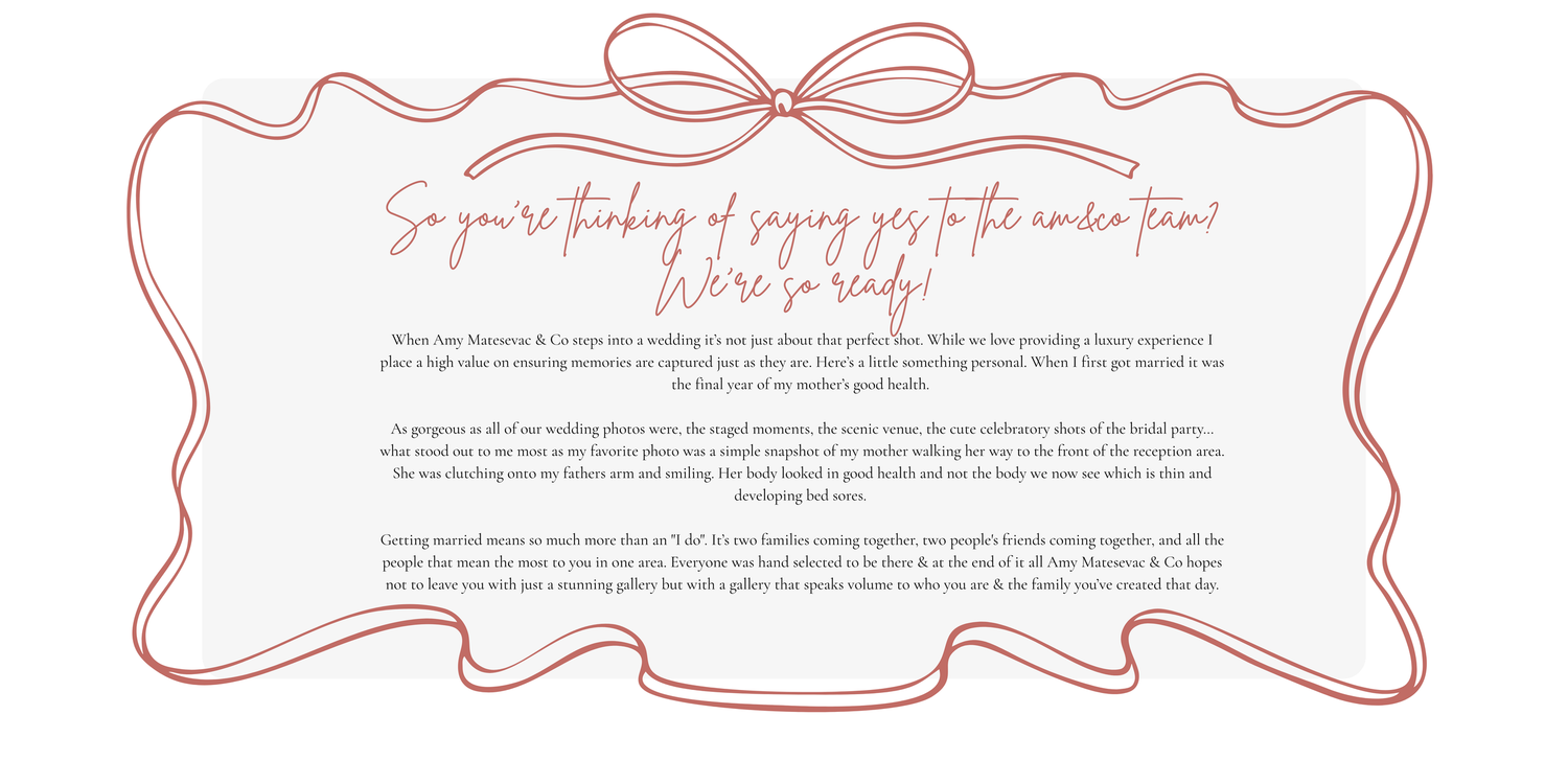 Decorative pink bow ribbon banner design elements with curled edges and flowing style.