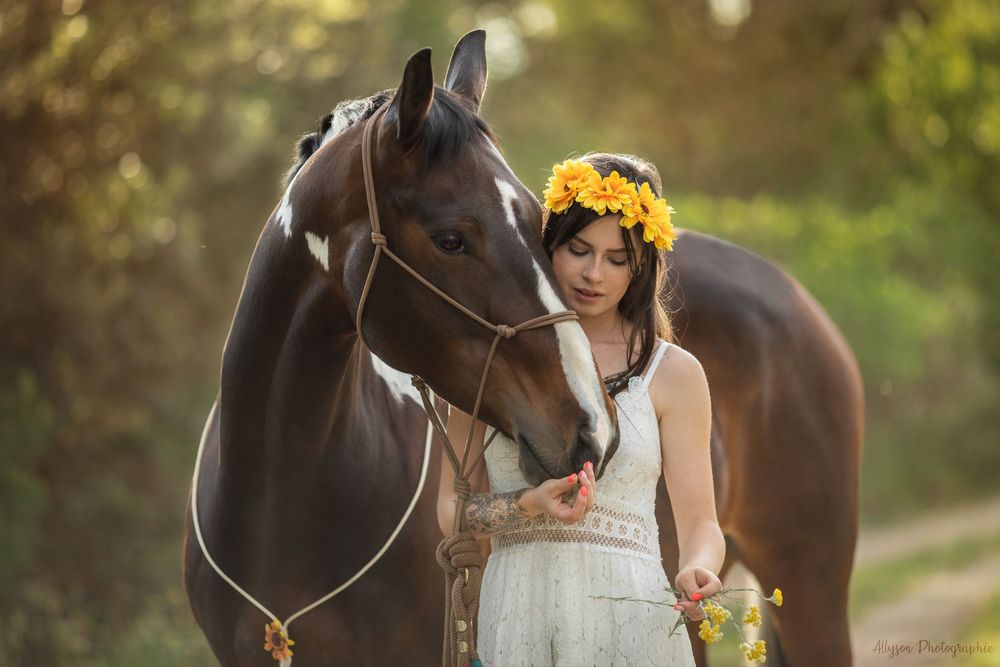 Séance photo animalière à Cotignac dans le Var – chiens, chats et chevaux